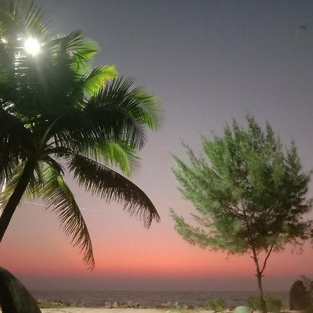 Angeo Beach House Alappuzha Kültér fotó